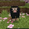 user059102594