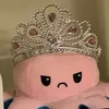 coveynot