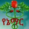 user35908384447661keva