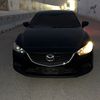 zy017_