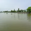 thu.ca.mau