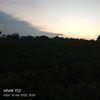 vin__941