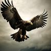 muhammed_2710