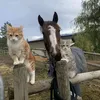 k.he_n