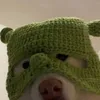 otter4986