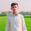 malikmudassar8127