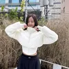 descrevzsoo_