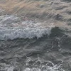 jamila0102_