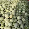 anh.ba9058
