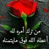 user7510390632865