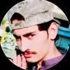 haroon.ali8227