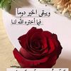 .nouran30