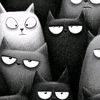almas__asal