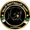 walid.rottweiler