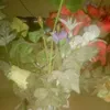 user1909025053905