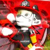 marshallpawsome