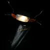 suzuki_lets22