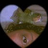 krys7_0