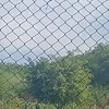 lu_efata