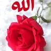 user9959376168203