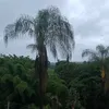 rilotiktok2