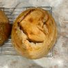 sourdoughfriend