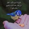 nouray_434