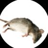pedrito_el_sucio