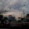 _torysantzl