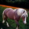 user17024226225910
