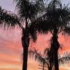 fancy_schmancy5