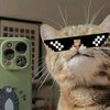 kity_catt072