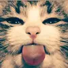 ihearticecream_1325