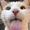 its.your.alex0