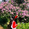 bibika.stha6