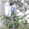 u.aung.myo.thu15