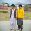 saqe499