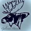 galician__moose