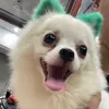 tiramissusm_