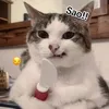 bchthvinh