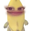 tarhash2