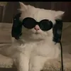 meowie.123
