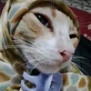 4she_shedo