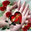 akram.khan3268