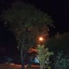 andi02906