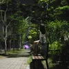 gy_141201