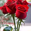 rajan.rajan.429mr