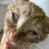 cng.nhau.thy.i