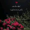 shefaamohamed1456