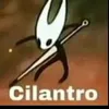 cilantro067
